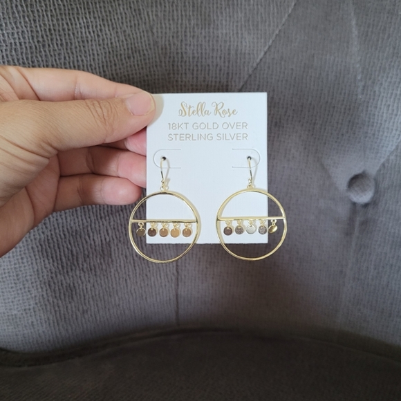 Stella Rose🌹Open Circle⭕ w/Discs📀 Earrings - Picture 13 of 13